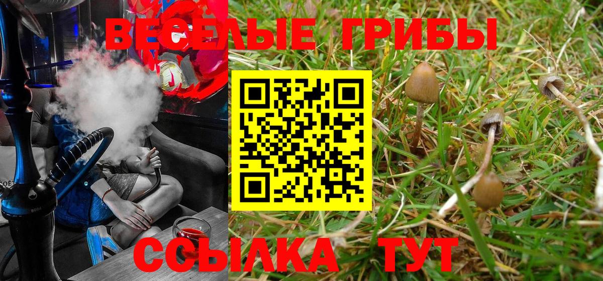 Псилоцибиновые грибы Psilocybine cubensis  закладки  Сафоново  Псилоцибиновые грибы MAGIC MUSHROOMS  Вход с VPN 